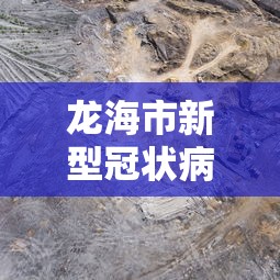 龙海区防控新冠肺炎公告最新