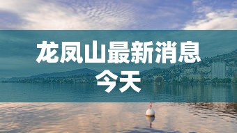 龙凤山最新消息今天