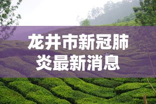 龙井市新冠肺炎最新消息