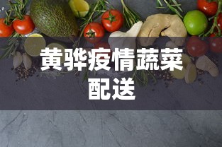 黄骅疫情蔬菜配送