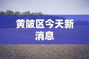 黄陂区今天新消息