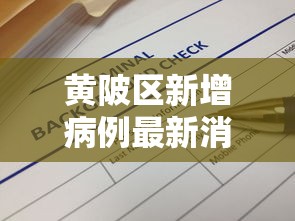 黄陂区新增病例最新消息