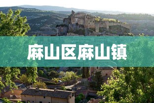 麻山区麻山镇