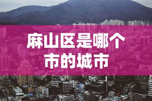 麻山区是哪个市的城市