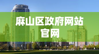 麻山区政府网站官网