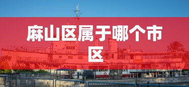 麻山区属于哪个市区