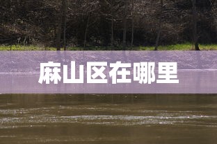 麻山区在哪里