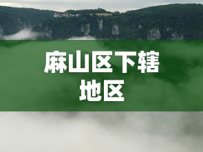 麻山区下辖地区