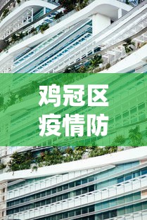 鸡冠区疫情防控中心电话