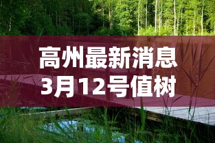 高州最新消息3月12号值树?