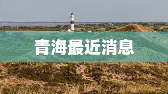 青海最近消息