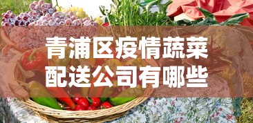 青浦区疫情蔬菜配送公司有哪些