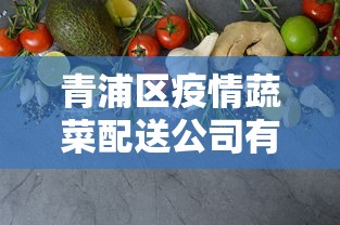 青浦区疫情蔬菜配送公司有哪些