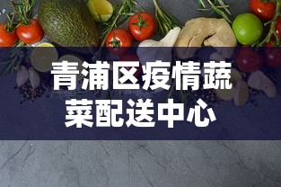 青浦区疫情蔬菜配送中心 青浦区疫情蔬菜配送中心