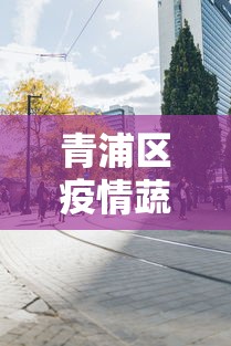青浦区疫情蔬菜配送中心 青浦区疫情蔬菜配送中心