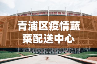 青浦区疫情蔬菜配送中心