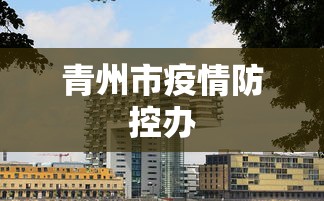 青州市疫情防控办 青州市疫情防控办
