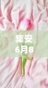 集安6月8日最新动态