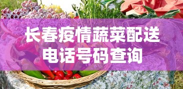 长春疫情蔬菜配送电话号码查询