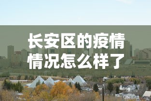 长安区的疫情情况怎么样了