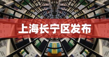 上海长宁区发布