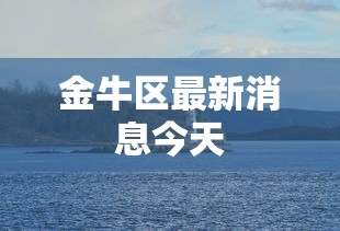 金牛区最新消息今天