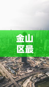 金山区最新消息 金山区最新消息
