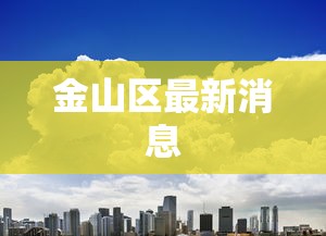 金山区最新消息 金山区最新消息