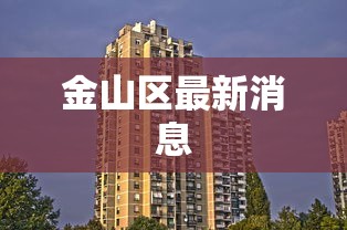 金山区最新消息
