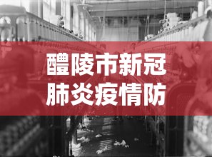 醴陵市新冠肺炎疫情防控工作指挥部电话