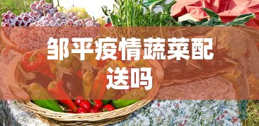 邹平疫情蔬菜配送吗
