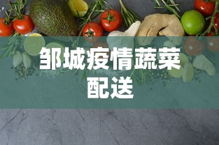 邹城疫情蔬菜配送