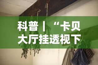 科普｜“卡贝大厅挂透视下载	”分享必要外挂教程