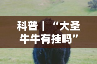 科普｜“大圣牛牛有挂吗	”开挂方法