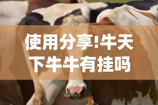 使用分享!牛天下牛牛有挂吗”(详细开挂教程)