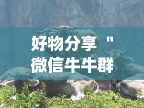 好物分享 ＂微信牛牛群有透视挂吗”(透视)辅助透视教程