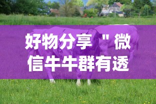 好物分享 ＂微信牛牛群有透视挂吗	”(透视)辅助透视教程