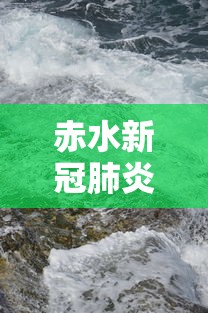 赤水新冠肺炎最新消息