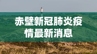 赤壁新冠肺炎疫情最新消息