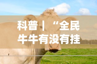 科普｜“全民牛牛有没有挂”(透视)其实确实有挂