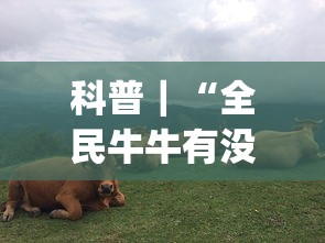科普｜“全民牛牛有没有挂”(透视)其实确实有挂