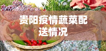 贵阳疫情蔬菜配送情况