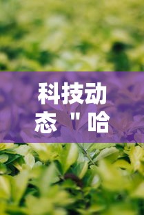 科技动态 ＂哈哈血战到底麻将开挂教程	”详细辅助教程分享