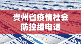 贵州省疫情社会防控组电话