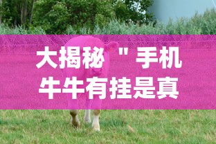 大揭秘 ＂手机牛牛有挂是真的吗”(原来确实是有挂)