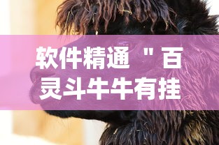 软件精通 ＂百灵斗牛牛有挂吗”(透视)其实真的有挂