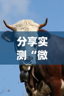 分享实测“微信斗牛牛牛群有挂吗”(其实是有挂)