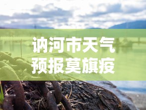 讷河市天气预报莫旗疫情