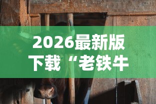 2026最新版下载“老铁牛牛有挂吗”必胜开挂神器