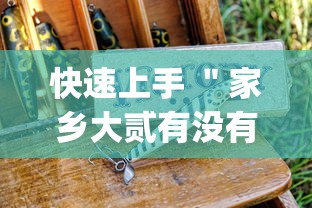 快速上手 ＂家乡大贰有没有人开挂	”(原来确实是有挂)